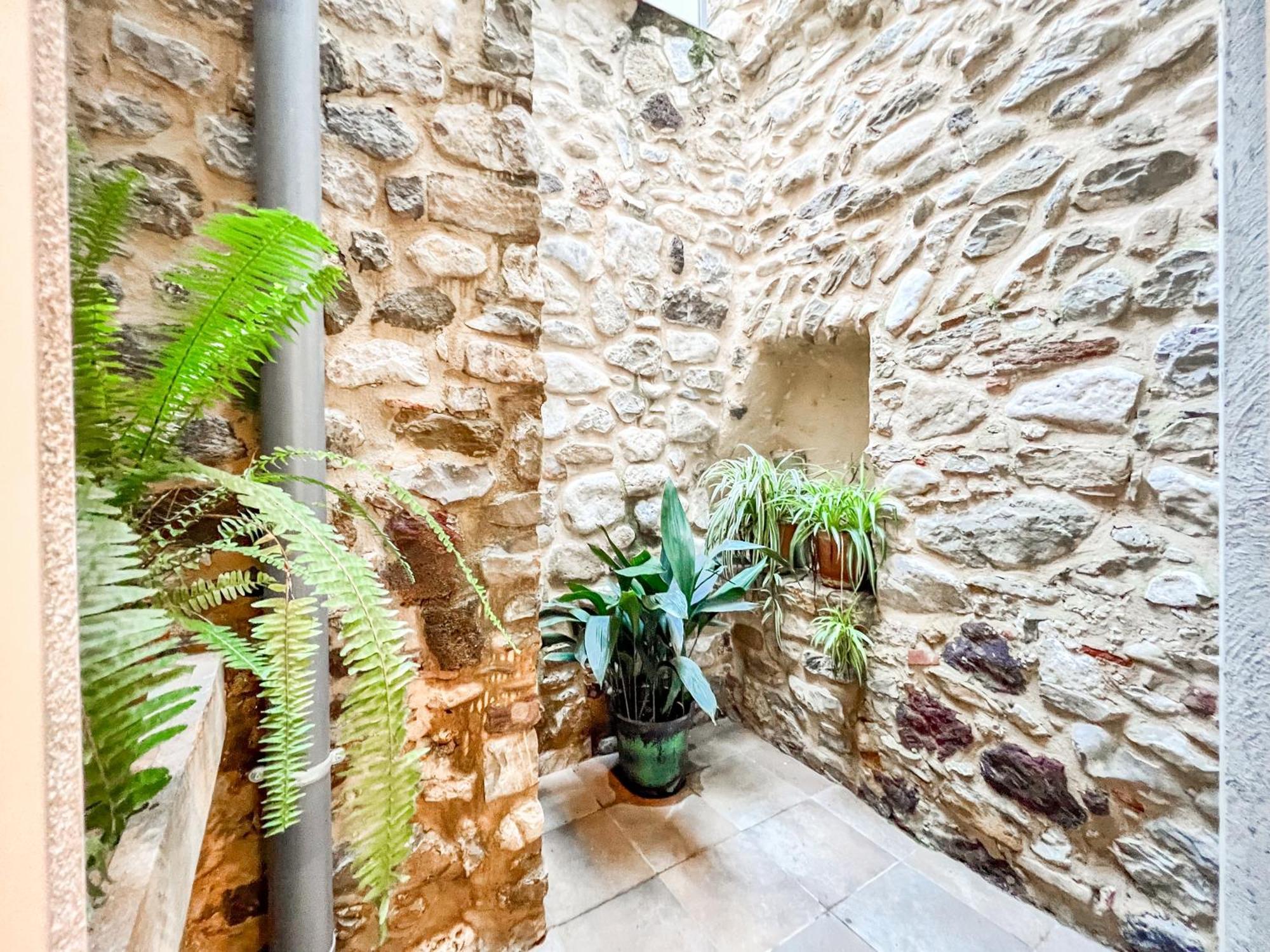 Ganganell Centre Apartamento Con Patio Besalu Bagian luar foto